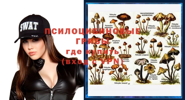 меф Белокуриха