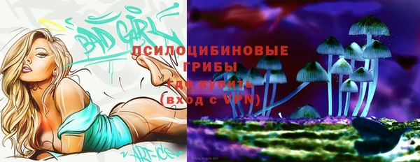 кристаллы Снежногорск