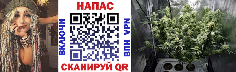 МАРИХУАНА Amnesia  Сковородино 